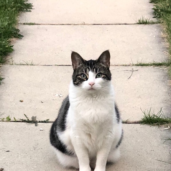 Meet your Posher, Melinda - Picture 1 of 1